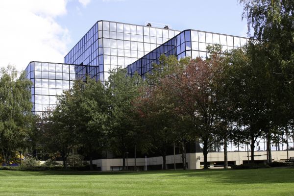 Commercial Tree Trimming in Prescott Valley