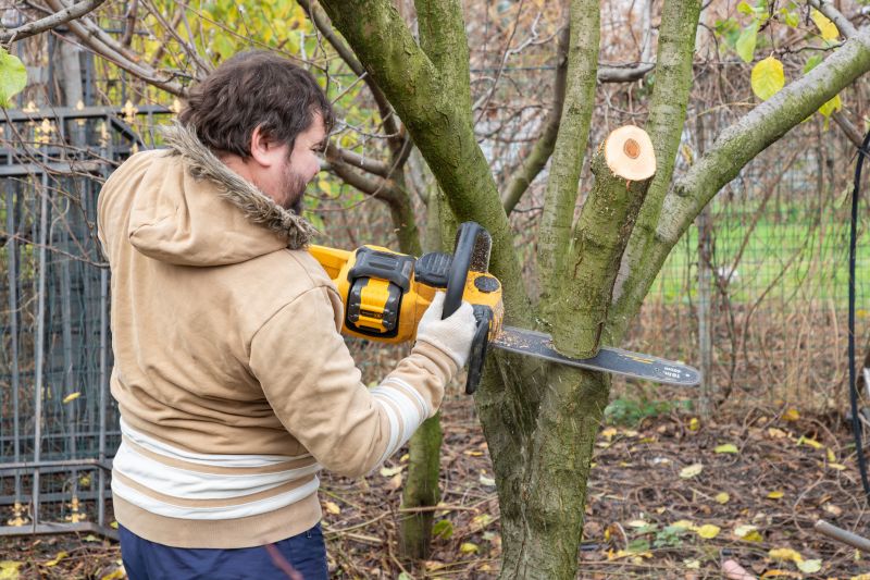 Tree Shaping Service